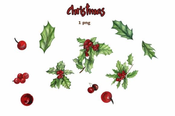 Set of Elements for Christmas. Plants, F: Illustrations Review